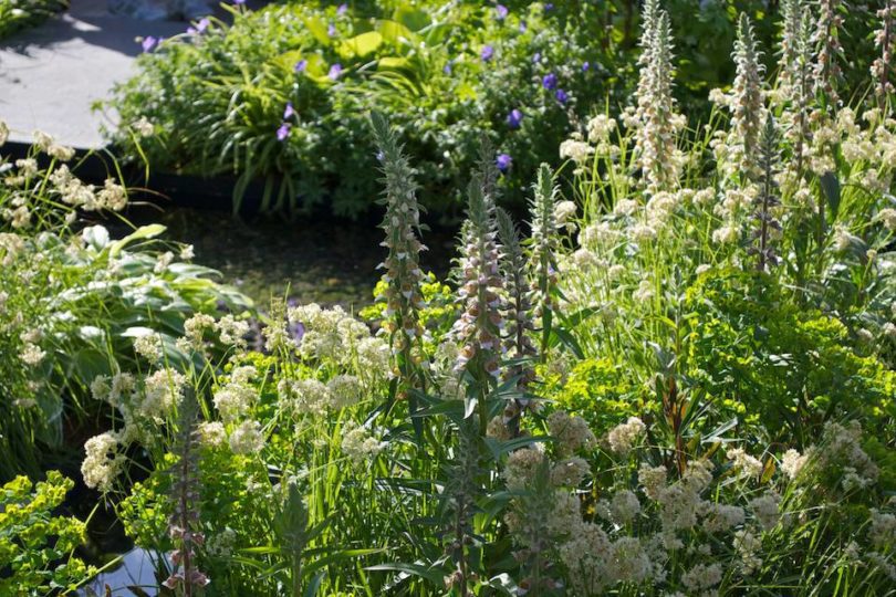 The Lands' End Across the Pond; Urban Garden by Adam Frost