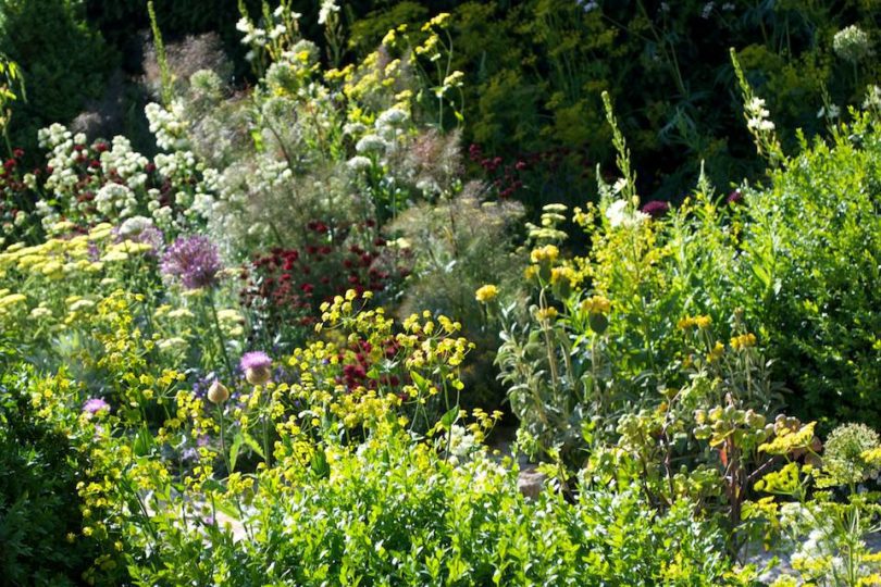 The Daily Telegraph Garden - Designer Cleve West - Best in Show