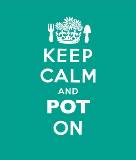 Keep Calm and Pot On