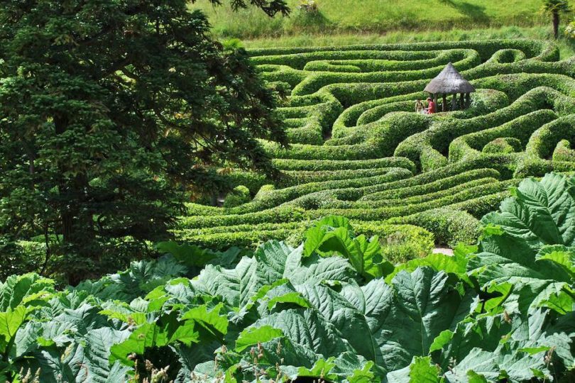 Maze Glendurgan Garden in Cornwall