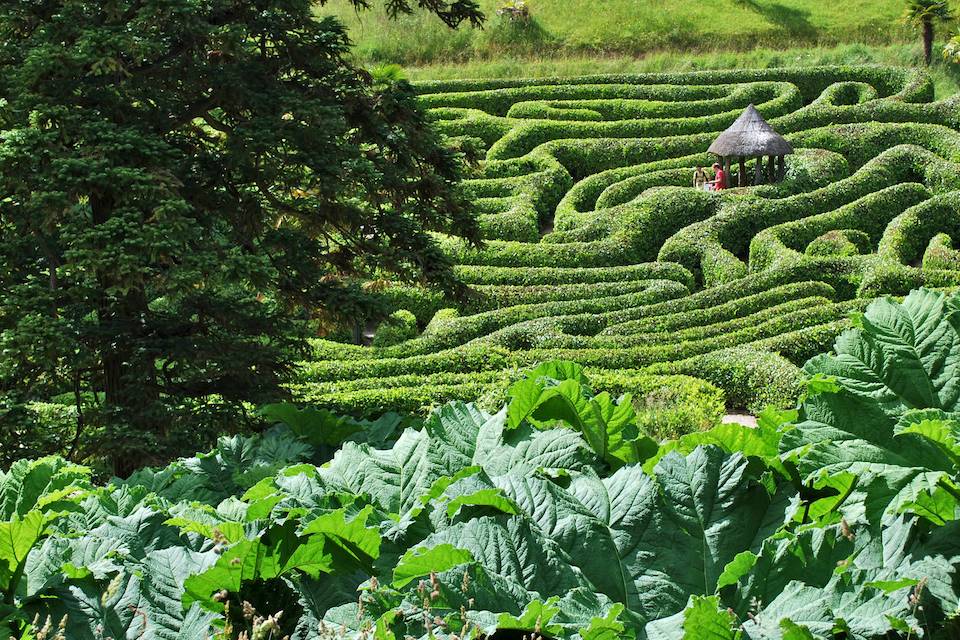 Maze Glendurgan Garden in Cornwall