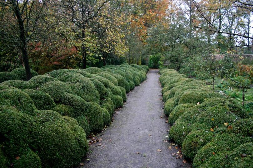 Jacques Wirtz Box Hedges in his Garden