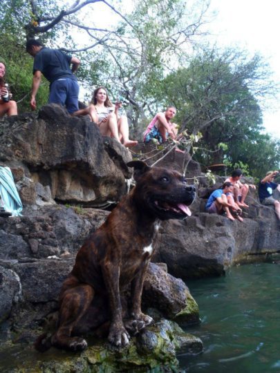 Leakey family fishing competition on boxing day